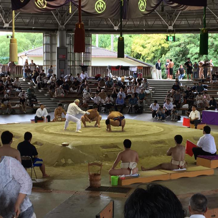 sumo.jpg